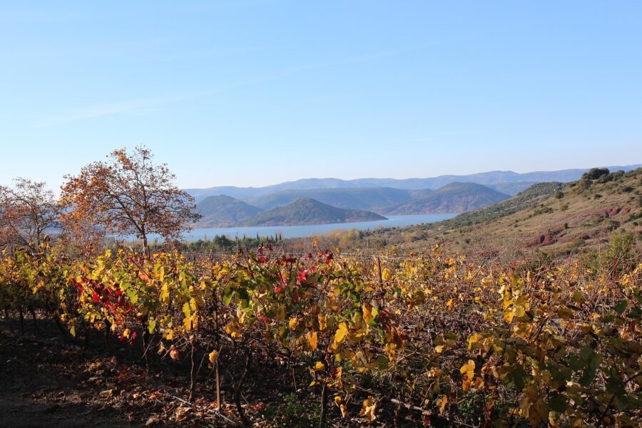 Rando Autour Du Lac Du Salagou
